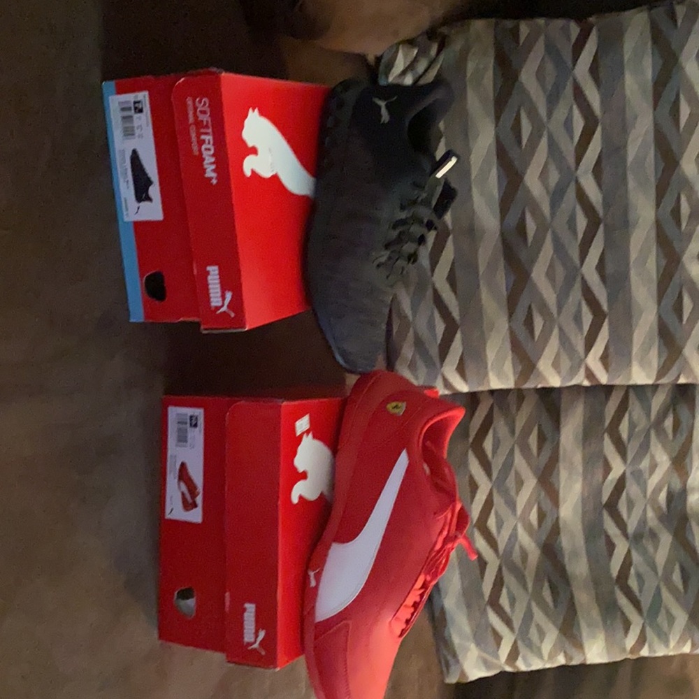 Meet your Posher, Ralph - Picture 11 of 16